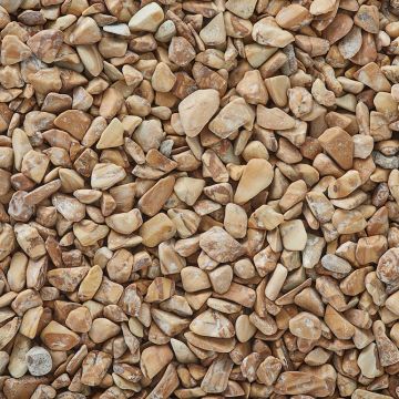 Exotic Pebbles & Glass Natural Bean Pebbles Wood 5 lb