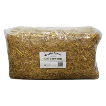 Wright Farms Straw Bales, Mini