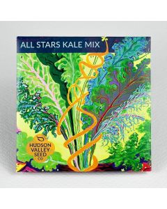 Brassica, Kale Mix, All Stars ~ 100 seeds