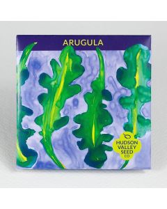 Eruca, Arugula ~ 500 seeds