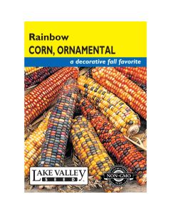 Zea, Ornamental Corn Mix 'Rainbow'