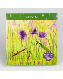 Allium, Chives ~ 200 seeds