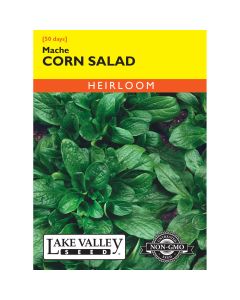 Valerianella, Corn Salad 'Mache'
