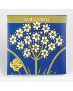 Allium, Chives, Garlic Chives ~ 200 seeds