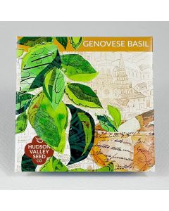 Seed Packets — Shop for Seeds and Plants