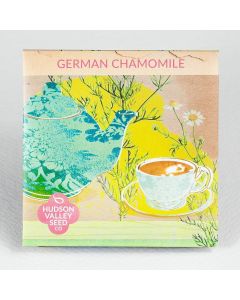 Matricaria, Chamomile, German