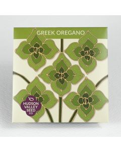 Origanum, Greek Oregano ~ 250 seeds