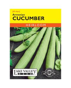 Cucumis, Armenian Cucumber Heirloom