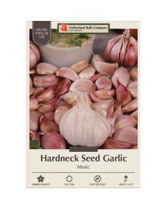 Allium, Seed Garlic Hardneck 'Music'