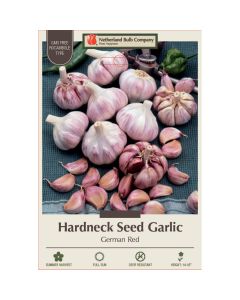 Allium, Seed Garlic Hardneck 'German Red'