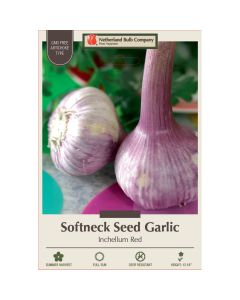 Allium, Seed Garlic Softneck 'Inchelium Red'