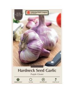 Allium, Seed Garlic Hardneck 'Purple Glazer'