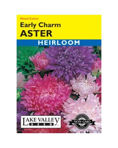 Callistephus, Aster 'Early Charm' Mixed Colors