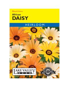 Dimorphotheca, African Daisy Mixed Colors