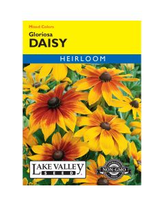 Rudbeckia, Gloriosa Daisy Mixed Colors