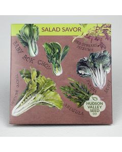 Salad Savor ~ 500 seeds
