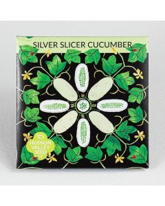 Cucumis, Cucumber, Silver Slicer Cucumber ~ 25 seeds