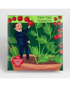 Solanum, Tomato (Bush), Tiny Tim Tomato ~ 25 seeds