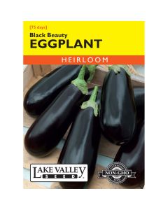 Solanum, Eggplant 'Black Beauty'