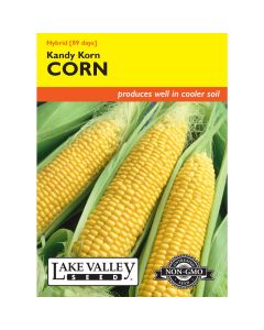 Zea, Sweet Corn (Late) 'Kandy Korn' Hybrid