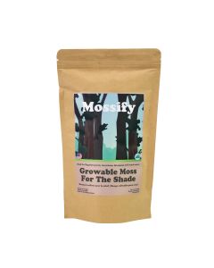 Mossify Growable Moss for the Shade