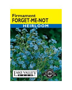 Cynoglossum, Forget-Me-Not 'Firmament'
