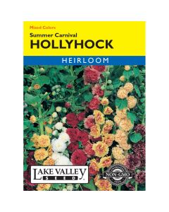Alcea, Hollyhock 'Summer Carnival' Mixed Colors