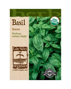 Ocimum, Basil 'Genovese' Organic Heirloom