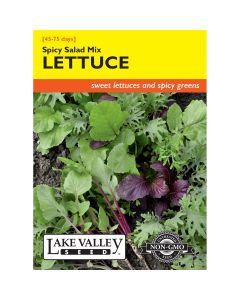 Greens Mix 'Spicy Salad'