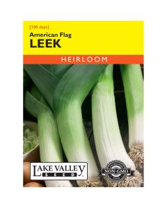 Allium, Leek 'American Flag'