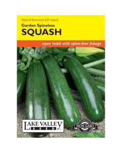 Cucurbita, Squash (Summer) Garden Spineless Hybrid