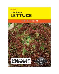 Lactuca, Loose-leaf Lettuce 'Lollo Rossa' Heirloom