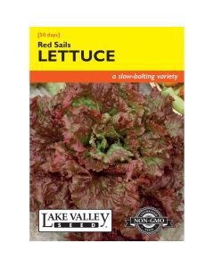 Lactuca, Loose-Leaf Lettuce 'Red Sails' 