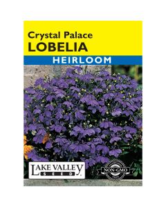 Lobelia 'Crystal Palace'
