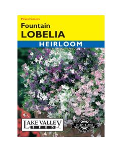 Lobelia Mix 'Fountain' Heirloom