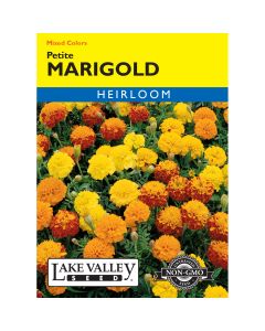 Tagetes, French Marigold 'Petite' Mixed Colors