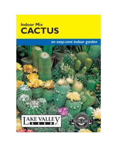 Cactaceae, Cactus Indoor Mix