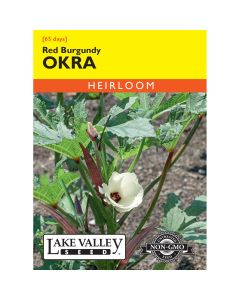Abelmoschus, Okra 'Red Burgundy' Heirloom
