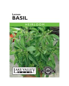 Ocimum, Basil 'Lemon' Heirloom