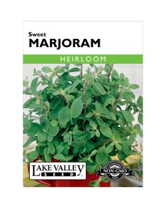 Origanum, Marjoram 'Sweet' Heirloom