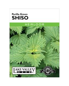 Perilla, Shiso 'Green'