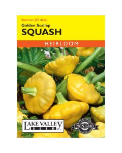 Cucurbita, Squash (Summer) Golden Scallop