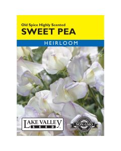 Lathyrus, Sweet Pea 'Old Spice' Highly Scented