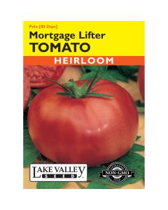 Solanum, Tomato (Pole) 'Mortgage Lifter'