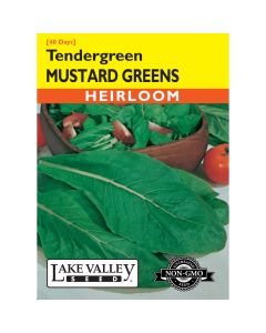 Brassica, Mustard Greens 'Tendergreen' Heirloom