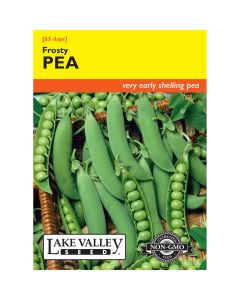 Pisum, Pea Bush 'Frosty'