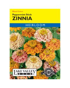 Zinnia 'Peppermint Stick' Mixed Colors
