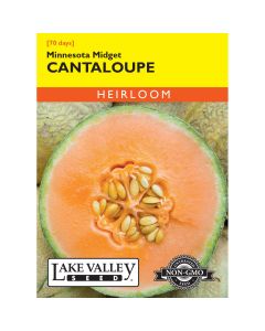 Cucumis, Cantaloupe 'Minnesota Midget' Heirloom