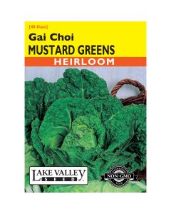 Brassica, Mustard Greens 'Gai Choi' Heirloom