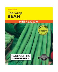 Phaseolus, Stringless Beans (Bush) 'Top Crop' Heirloom Value Pack